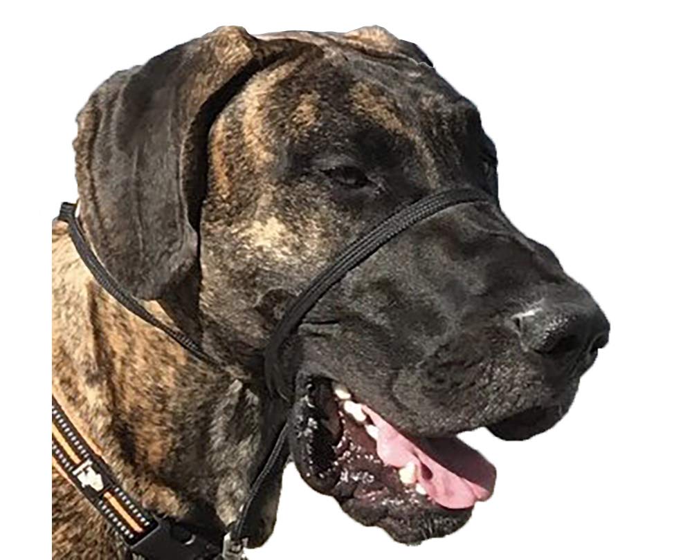 K9 Bridle - to stop your dog pulling (Large, Red)