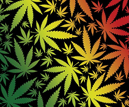 Weed Pot Cannabis Leaf Fleece Throw Blanket 50