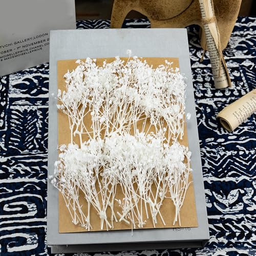 Set de 50 tallos de Gypsophila seca para decoración miniatura 2