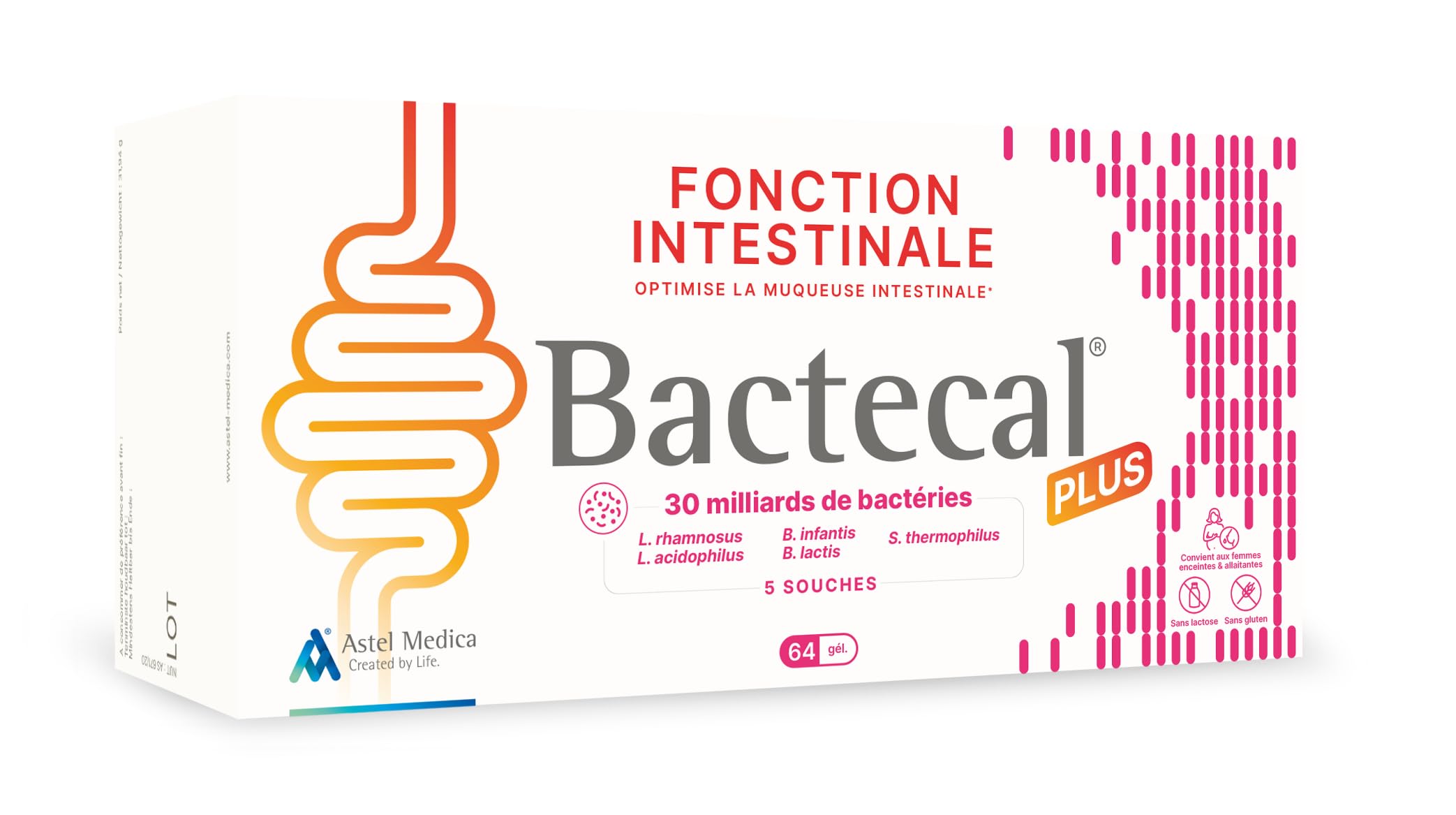 PLUS - Soutien digestif et immunitaire & Restauration de la flore intestinale - Probiotiques - Complément alimentaire - 64 gélules