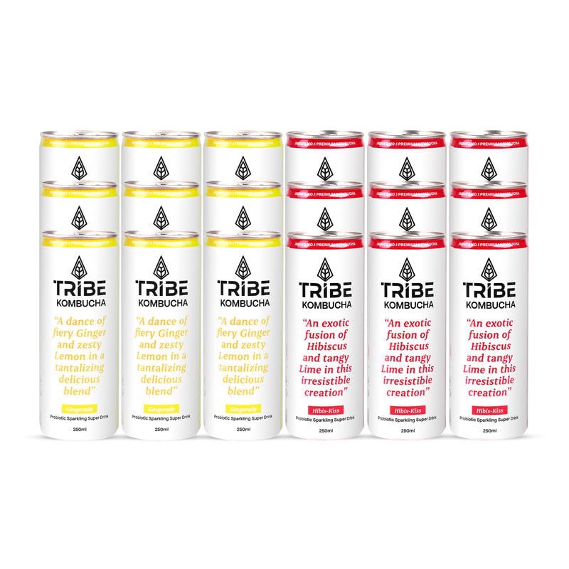 Tribe Kombucha Probiotic Super Drink | Gluten Free Immunity Booster | Supports Gut Health | Antioxidant and Hydration | Super Refreshing | Gingerade + Hibiscus Flavors | Pack of 12 (250ml Each)