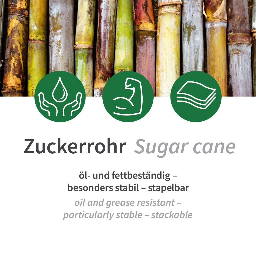 FRANZ MENSCH 250 Stück NATUREStar Menüboxen mit Klappdeckel, 3-geteilt | Zuckerrohr, weiß, V: 1,1l, L: 22,5cm, B: 20cm, H: 9cm, Karton, Menüboxen, Lunchboxen, Klappboxen