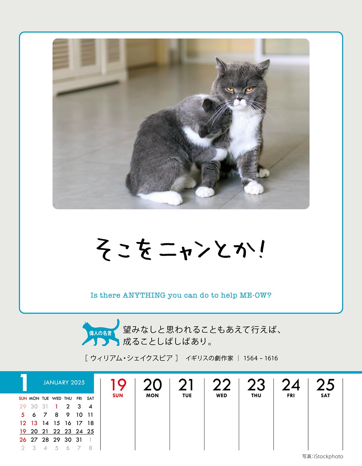 【新品】名前はまだない。 猫 2025 卓上カレンダー直筆サイン入チェキ 71XqvBEBILL._UF350,350_QL50_.jpg