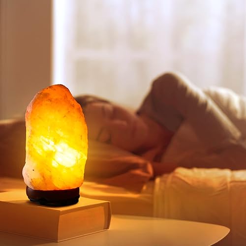 Miniatura 6 de Paquete de 4 cables de lámpara de sal del Himalaya de 5 pies con interruptor de atenuación y 24 bombillas E12 de 15 W para cables de repuesto de