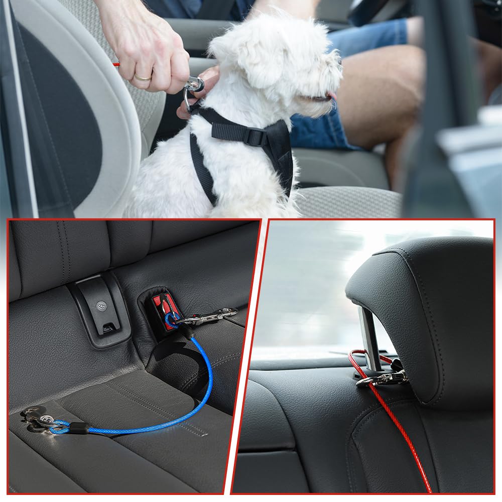 2 Pezzi Guinzaglio per Cani Prova di Masticare, 40 cm Cintura di Sicurezza per Cani Auto, Cavo per Legare Il Cane, Guinzaglio Retriever Resistente per Cuccioli, Cane di Piccola e Media Taglia