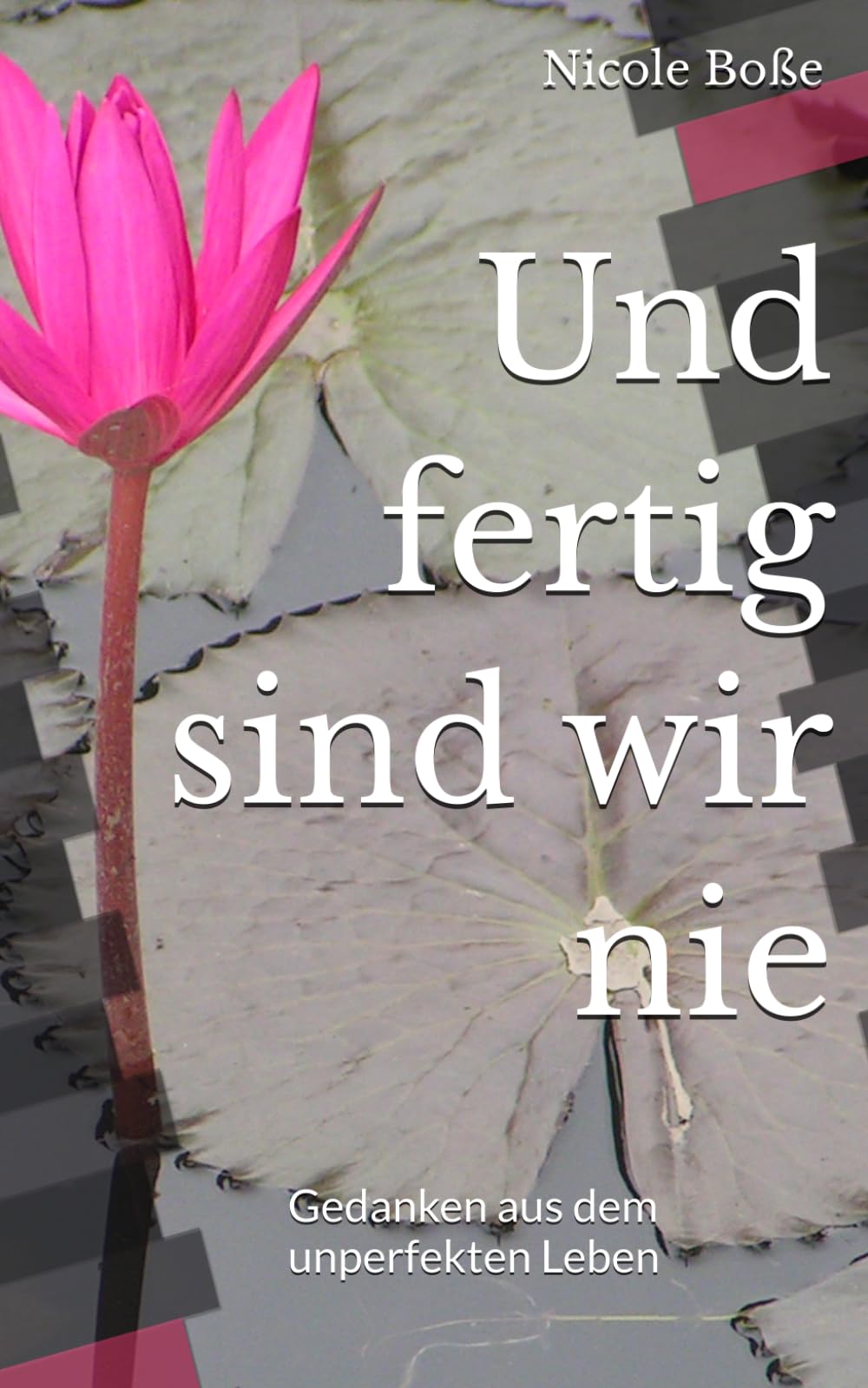 Und fertig sind wir nie: Gedanken aus dem unperfekten Leben