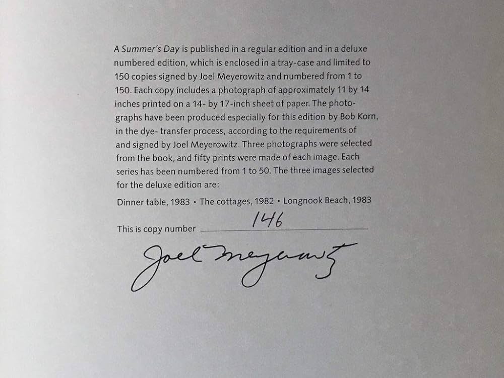 Joel Meyerowitz 写真集 A SUMMER'S DAY 日本語訳版 Joel Meyerowitz 写真集 A SUMMER'S DAY 日本語訳版 A SUMMER'S