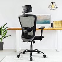 Green Soul® Jupiter Echo Office Chair, High Back Mesh Ergonomic Home Office Desk Chair with 2D Adjustable Headrest & Lumbar Support, Synchro-Tilt Lock Mechanism & Heavy Duty Metal Base (Black)