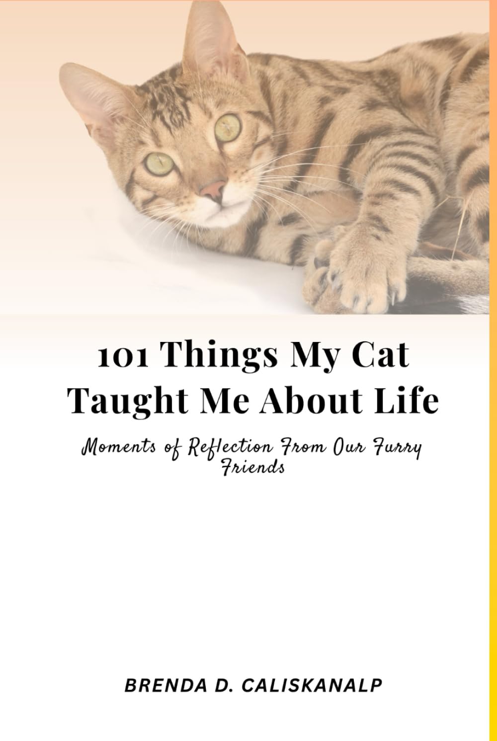 101 Things My Cat Taught Me About Life: Moments of Reflection From Our Furry Friends