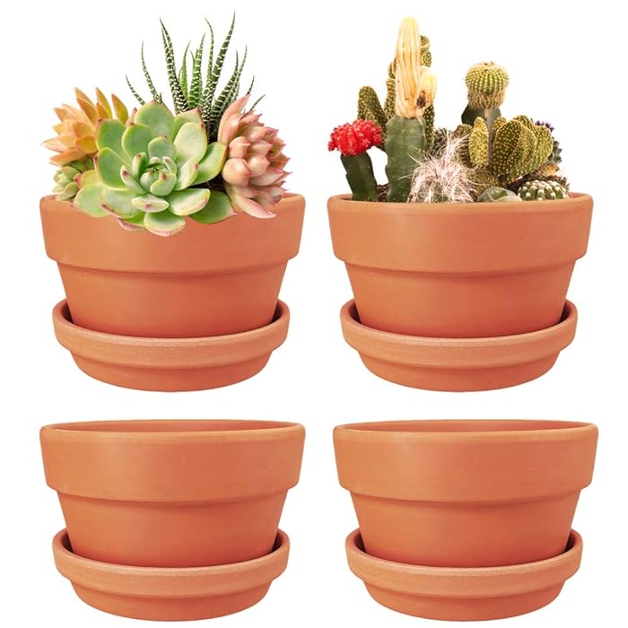 Buy 4 Pack 6 Inch Terracotta Shallow Succulent Pot Terra Cotta Clay Pots with Saucer, Cacuts