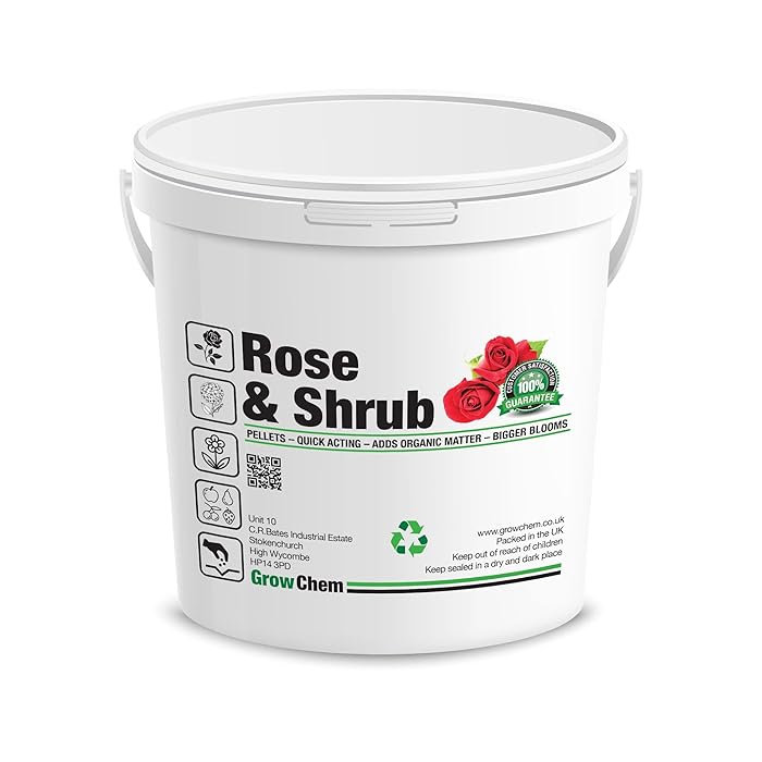 Buy Rose And Shrub Fertiliser, 800G Bucket, Plant Food, Ideal for