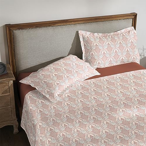 Image of myTrident Shades of Comfort King Bedsheet Sets,180 TC, 100% Cotton bedsheet for Double Bed, Elenora