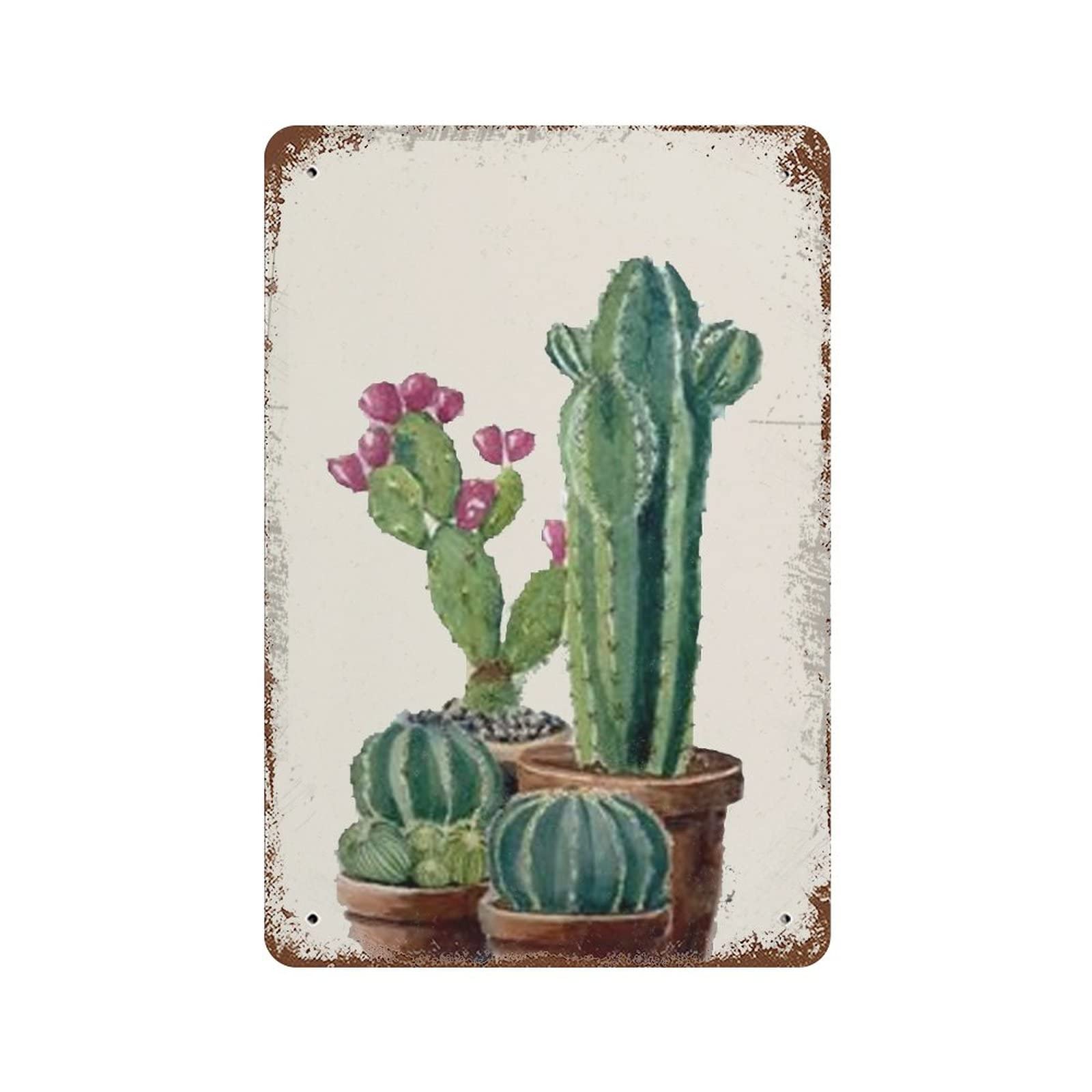 Kwqdozf As Pic Vintage Metal Tin Sign Succulent Bouquet Cacti Wall Art Home 8X12 Inch