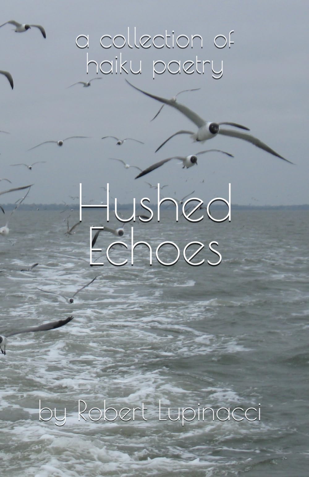 Hushed Echoes: a collection of haiku poetry