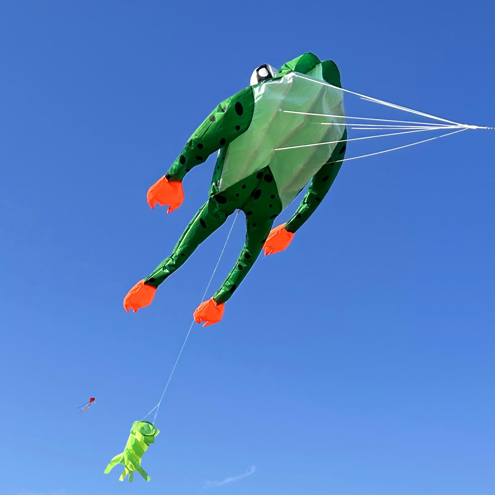 Touch the sky Cerf-Volant Grenouille 3D Doux pour Enfants et Adultes, Facile à Voler, Tissu Exquis et Structure Unique, Idéal pour Les Activités de Plein Air, Parfait pour Les Débutants.