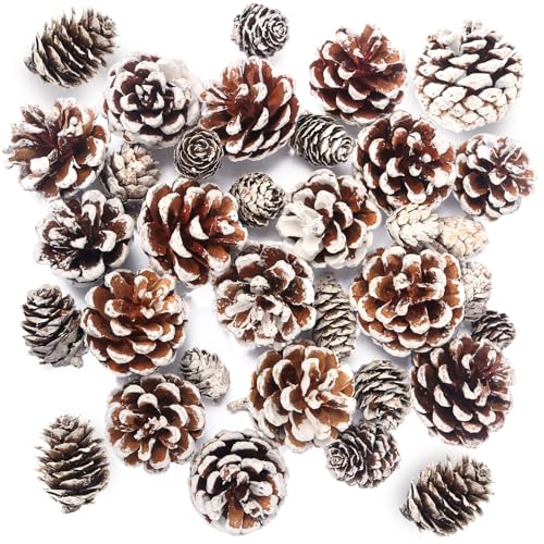 BigOtters 30PCS Snow Pine Cones Bulk, Natural Pine...
