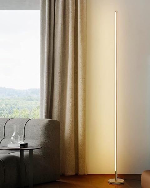 TACAHE Minimalist Corner Floor Lamp - 2700K-6500K Dimmable LED - Modern Standing Lamp with Remote Controller for Living