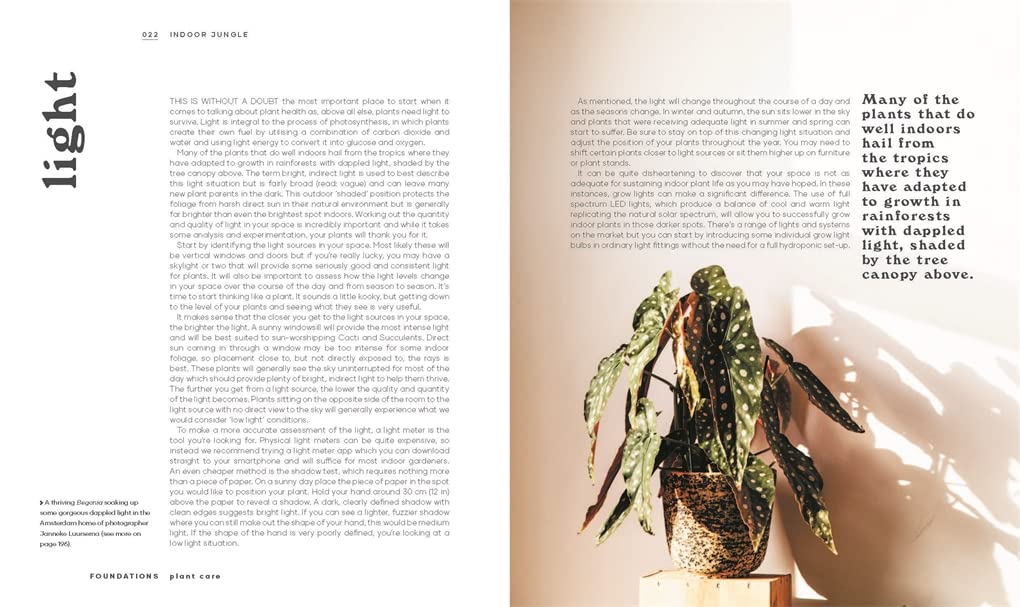 The Leaf Supply Guide to Creating Your Indoor Jungle