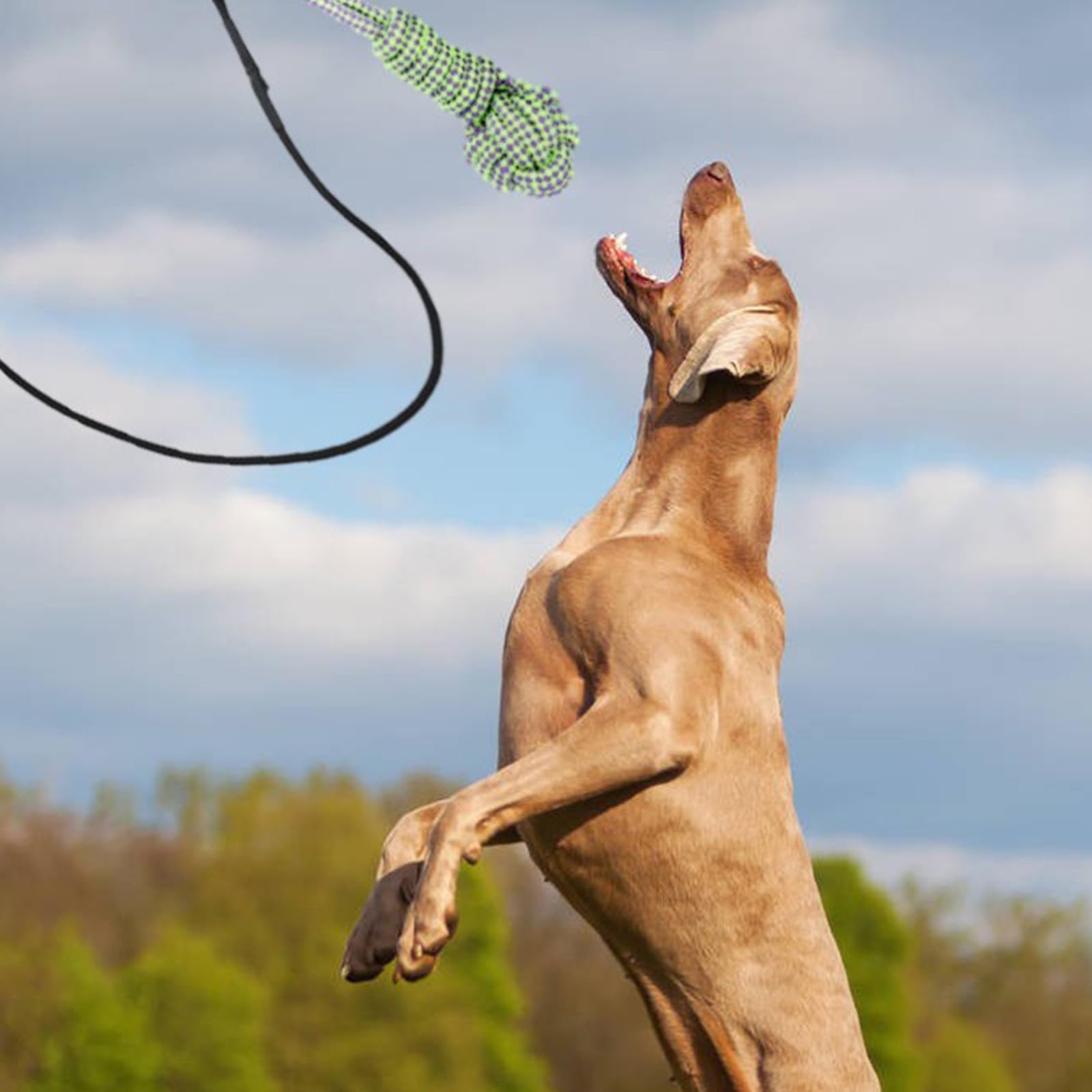Corda interattiva per animali domestici, design retrattile, in alluminio, include giocattolo in corda di cotone e palla per cani e gatti, set di palline da masticare per cani e gatti