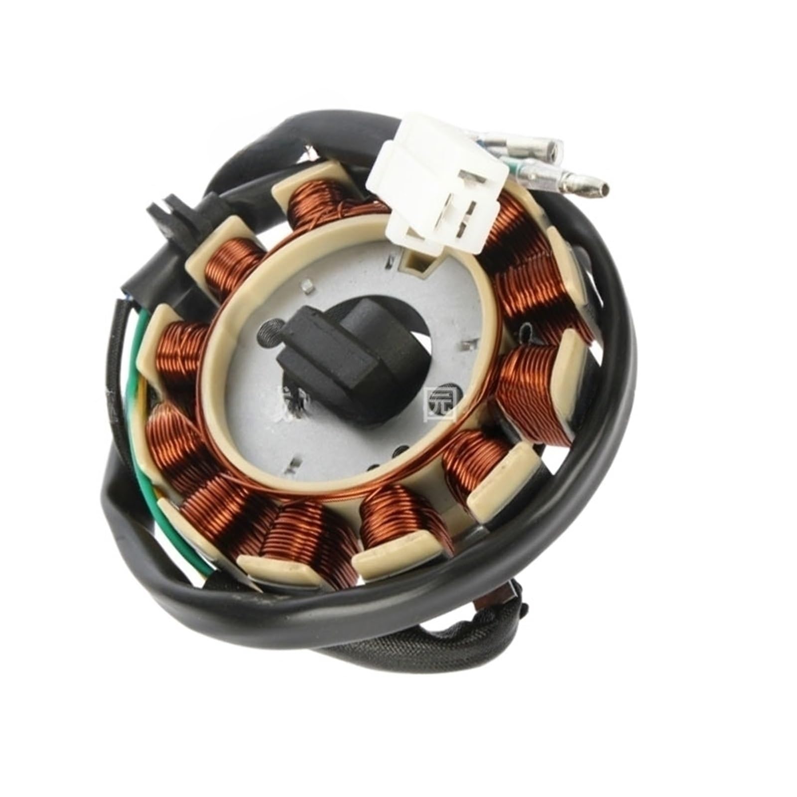 Stator de magnéto triphasé CC 12 pôles pour vos trajets quotidiens - 2
