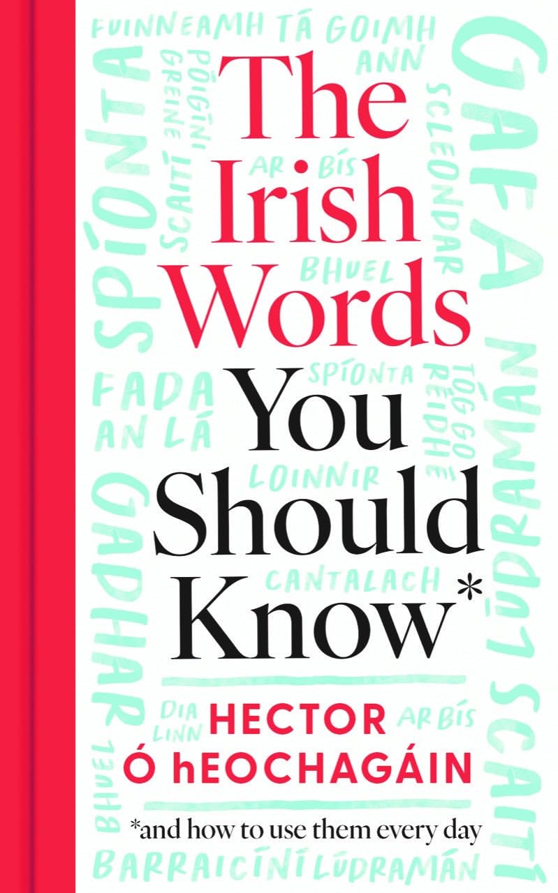 The Irish Words You Should Know: and how to start using them again: and how to use them every day