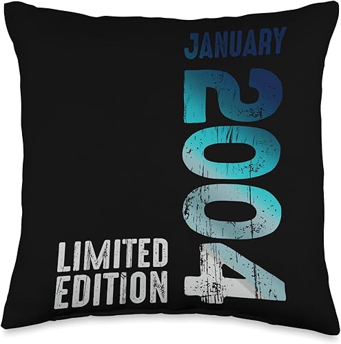 January 2004 Year 2004 Retro 2004 Vintage Limited Edition Throw Pillow