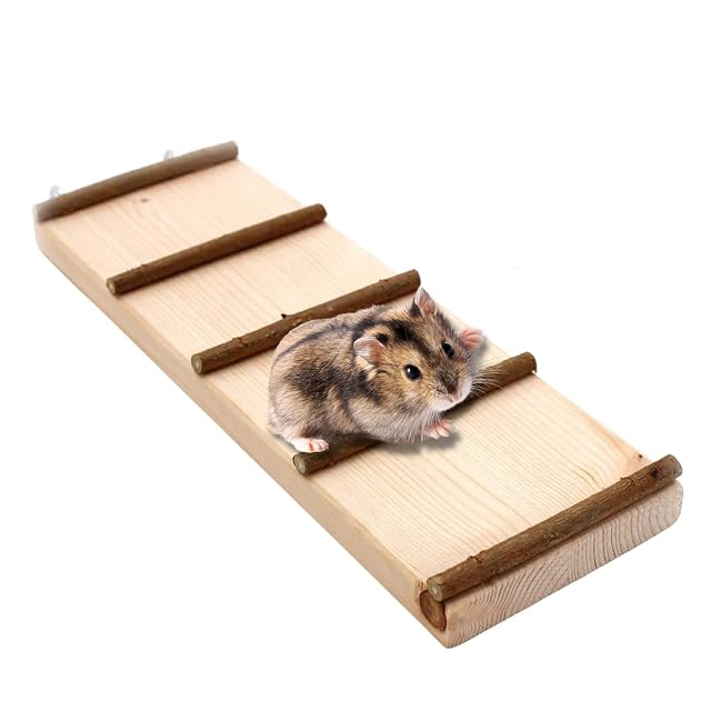 La Escalera Adolescente con peldaños de Madera Natural para hámster