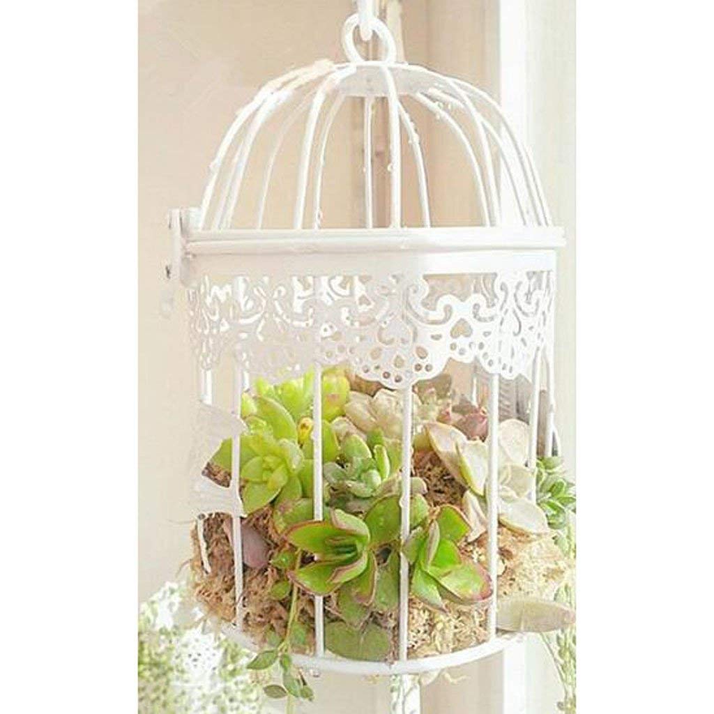 Amazon.co.jp: 植木鉢アイアンメタルバードケージフレーム