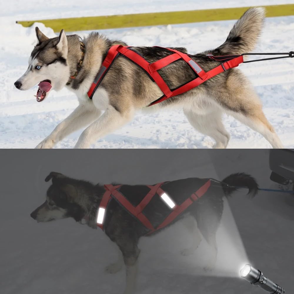 Regulowana nylonowa uprząż do trakcji dla zwierząt domowych na zewnątrz odblaskowa uprząż narciarska dla dużych psów husky psy Alaska, żółta, 2XL