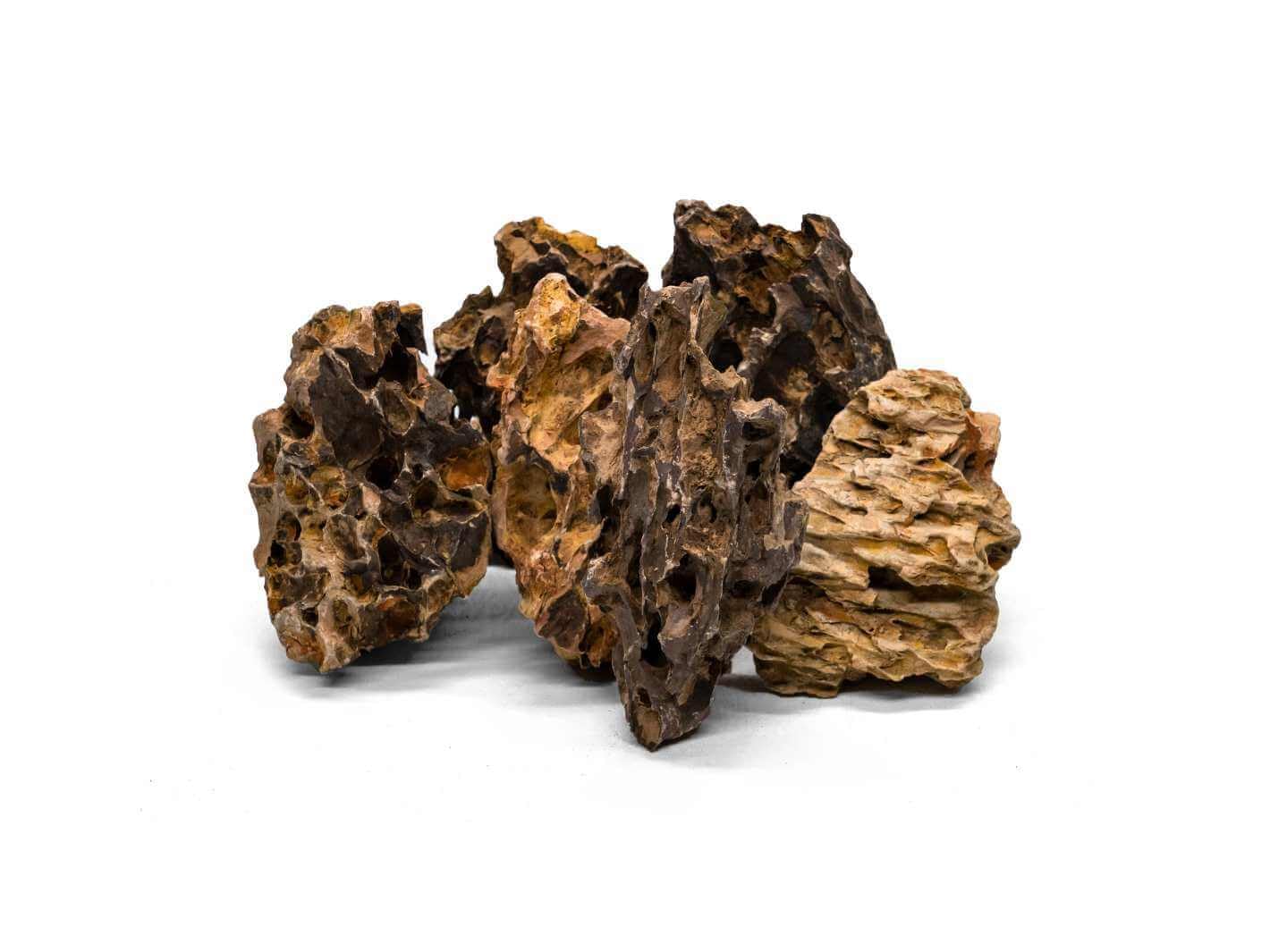 Natural Dragon Stone for Aquascaping & Terrariums – Detailed Aquarium Rock in Various Sizes – Dragon Rock with Neutral pH & Vibrant Colour – Ideal for Aquarium & Terrarium Landscapes (0.5 kg)