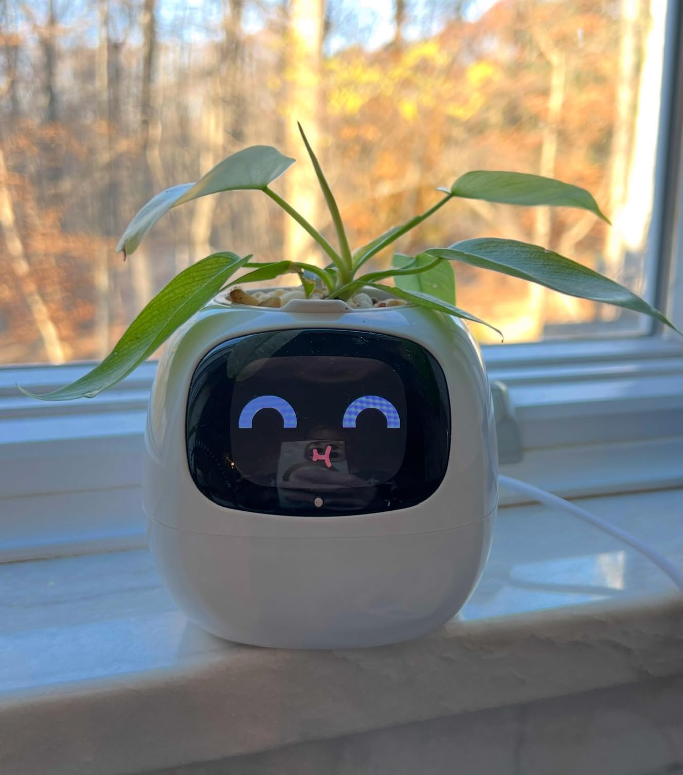 Plantagotchi - AI Smart Planter photo review