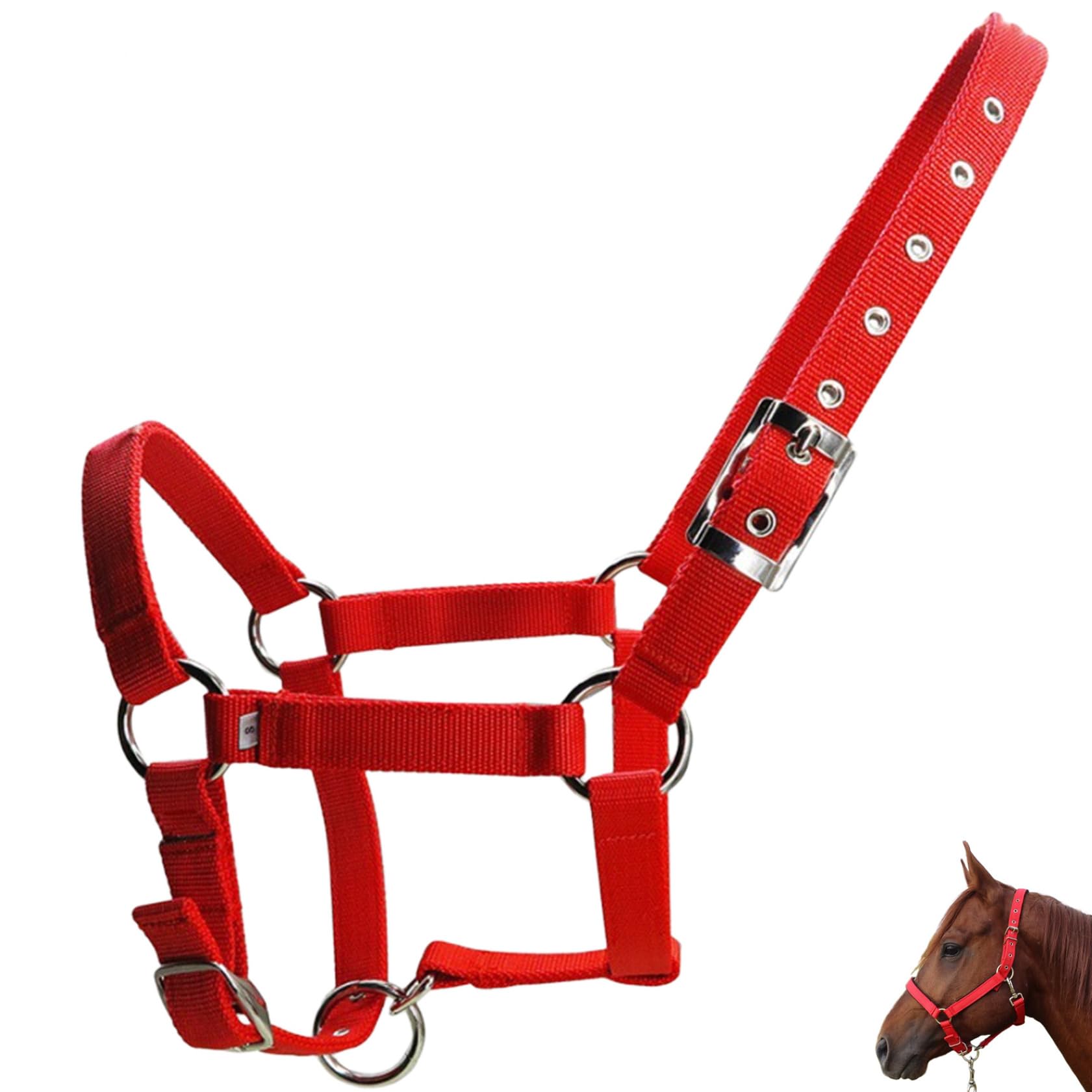 Cabestro de caballo de polipropileno grueso y hebilla de metal resistente