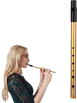 Irish Tin Whistle D,Whistles,Premium Six-Hole Penny Slide Whistles,for Wind Instrument Beginners Intermediate and Expert Band PerformancesGold