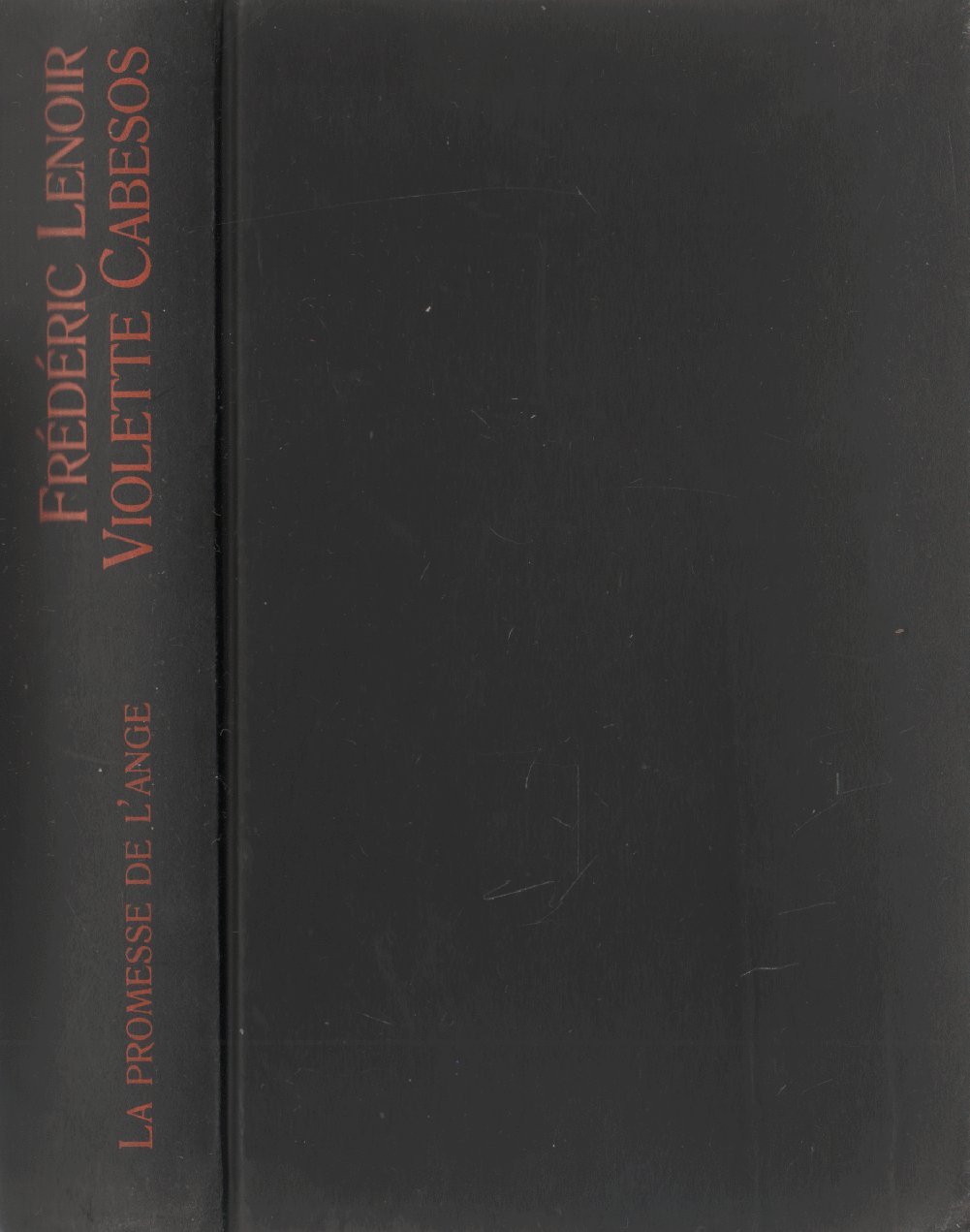 La promesse de l'ange (Suspense) [Hardcover]