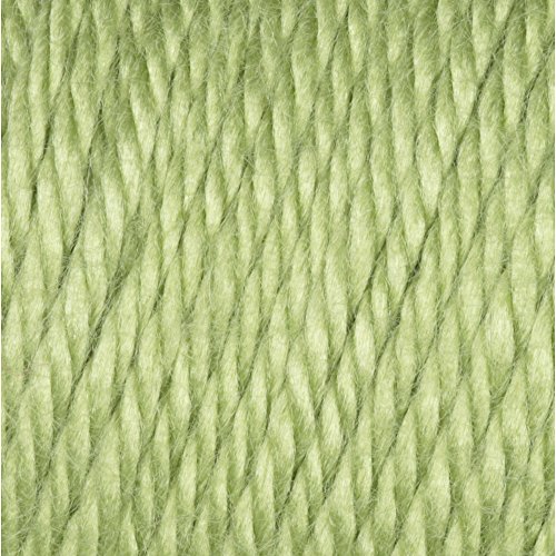 Image of Caron Simply Soft Collection Yarn, 6oz, Gauge 4 Medium, 100% Acrylic- Pistachio - Machine Wash & Dry