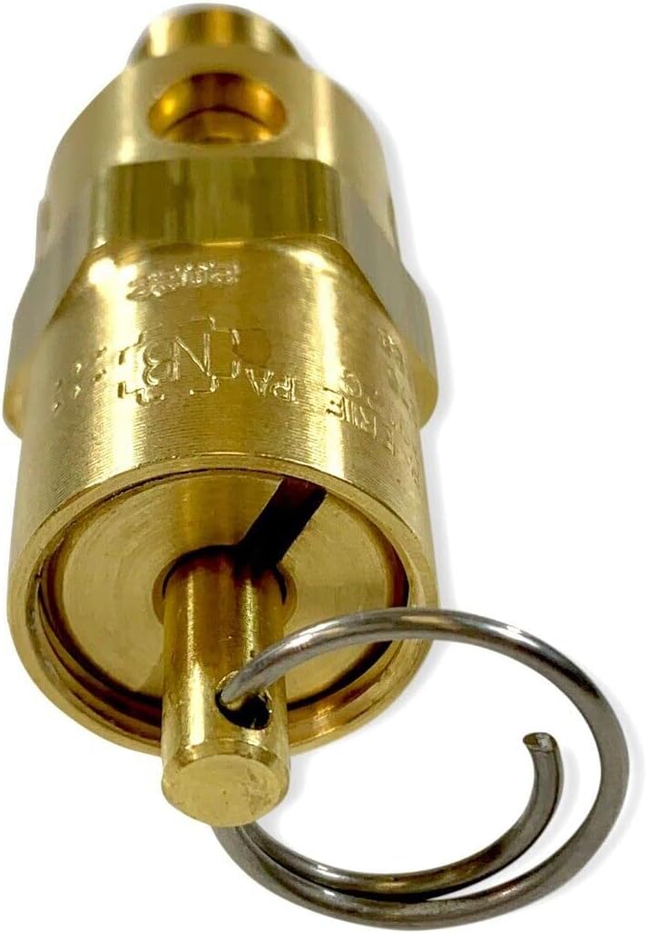 ARC-POWER 1/8" NPT Hard Seat Safety Pressure Relief Valve, 200 PSI, Made in The USA