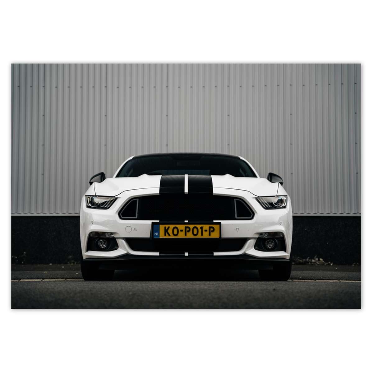 Papier peint non-tissé grand format motif voiture de sport finition mat 312x219cm
