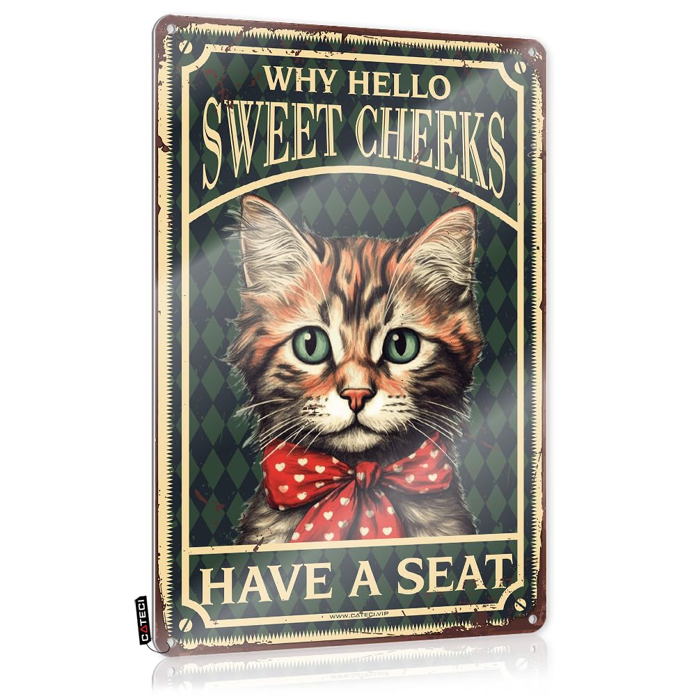 Fzfn Girls Colour Sweet Cool Wall Decor | Cat Why Hello Sweet Cheeks Have A Seat Square Decorative Wall Art Ready To Hang For Cottage(30X40cm)
