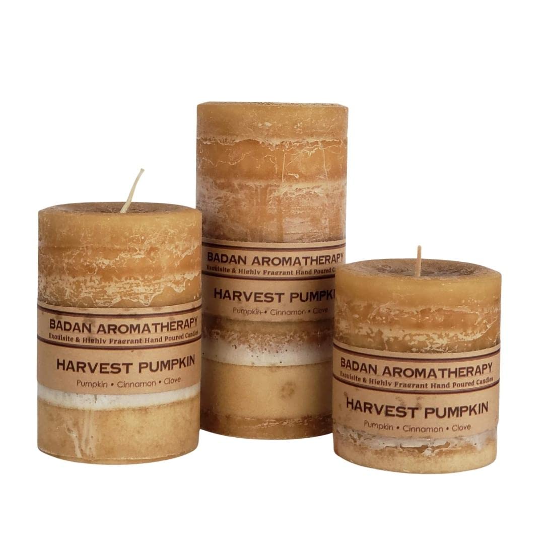 Harvest Pumpkin Cinnamon Clove Scented Pillar Candles (3 Piece Set, Rustic, Ivory)