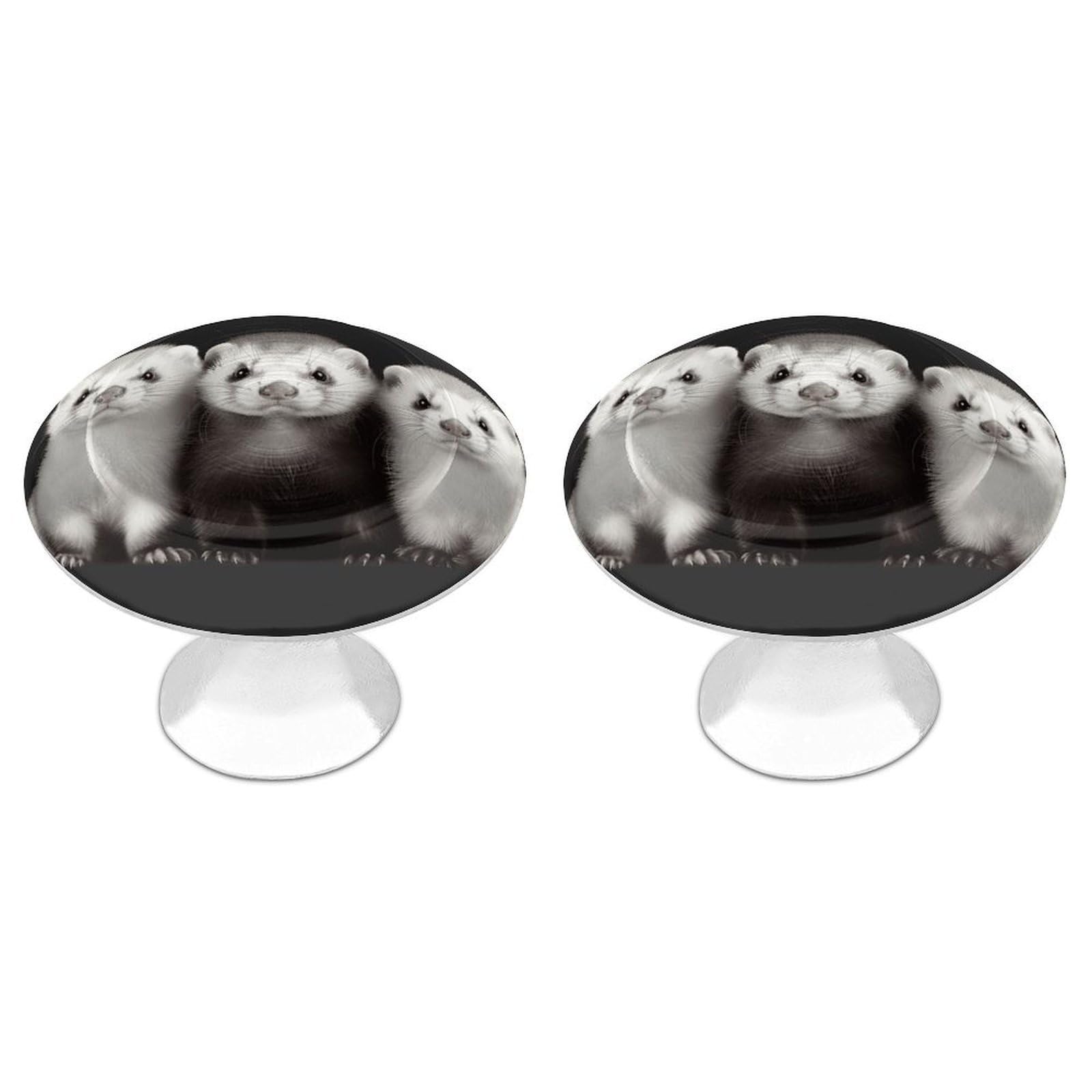 Vstadank Style Ferrets Drawer Pulls Sturdy Stainless Steel Door Handle Round Cabinet Knobs Fashion Dresser Drawer Knobs Door Pulls Exquisite Cabinet Handles Furniture Pull 2Pcs