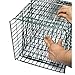 OxGord Live Animal Trap - Humane Catch & Release Large 32