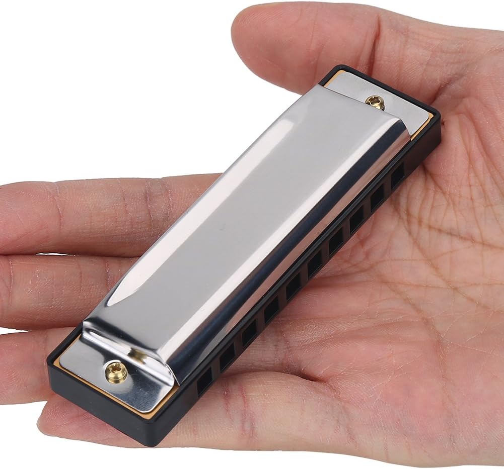 10 Hole Metal Harmonica, Easy to Learn Wind Instrument for Beginners, Portable Folk Music Harmonica for Professional Use, for Outdoor Performances, Music Lessons, and Casual Play