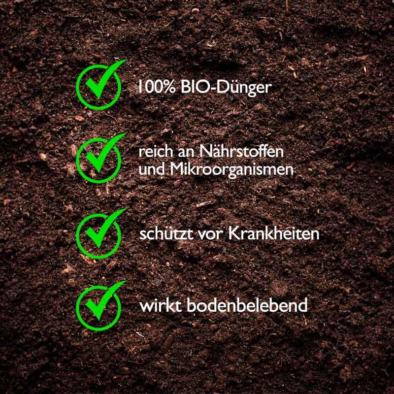 Wurmtee, BIO Flssigdnger 1000 ml | natrlicher Dnger fr gesundes  Wachstum, Universal Pflanzendnger | Obstdnger, Gemsednger,  Gurkendnger, Beerendnger, Zitronendnger, Tomatendnger : Amazon.de:  Garten