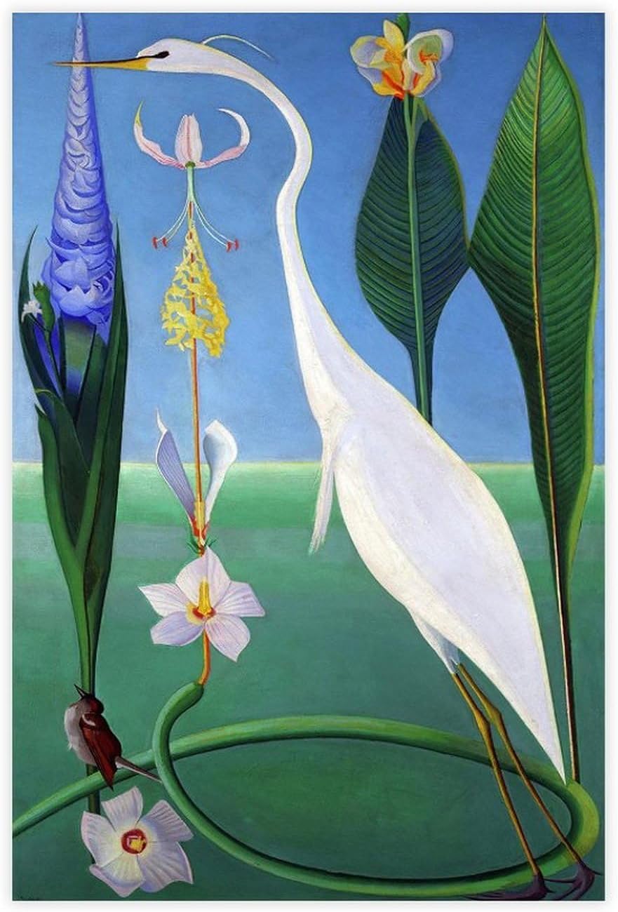 Rikin Liuff The White Heron by Joseph Stella Canvas Poster Art 40x60cm Frameless