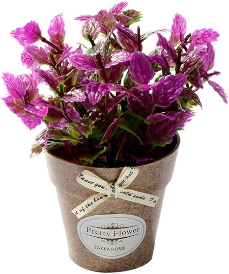 Amazon Cathy 観葉植物 人工観葉植物 フェイクグリーン フェイクフラワー 鉢植え 造花 人工植物 インテリア 飾り 簡単世話いらず 水やり不要 オフィス ホーム デコレーション 紫 桜草 人工観葉植物 オンライン通販
