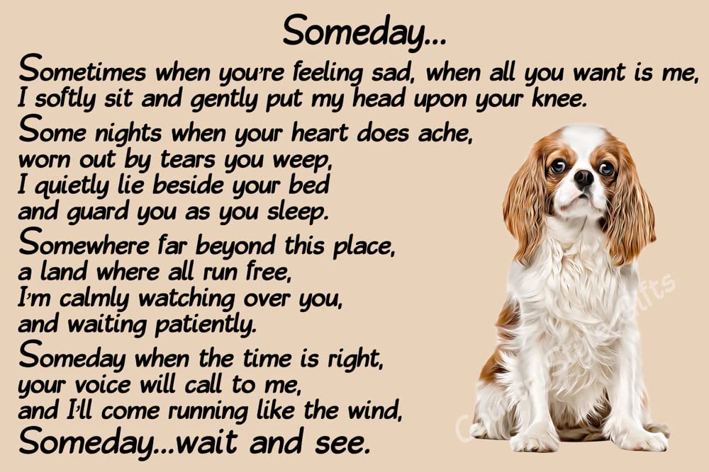 Countrystyle Gifts White Cavalier King Charles Spaniel Memorial Dog Pet Loss Fridge Magnet Gift - Someday
