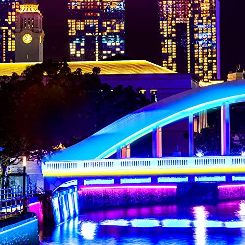 Segrass 32.8Ft Led Neon Lights With Remote App Control Ip65 Waterproof Flexible Neon Led Strip Lights 24V Rgb Led Neon Rope Lights For Bedroom Room Outdoors Decor #TOP2