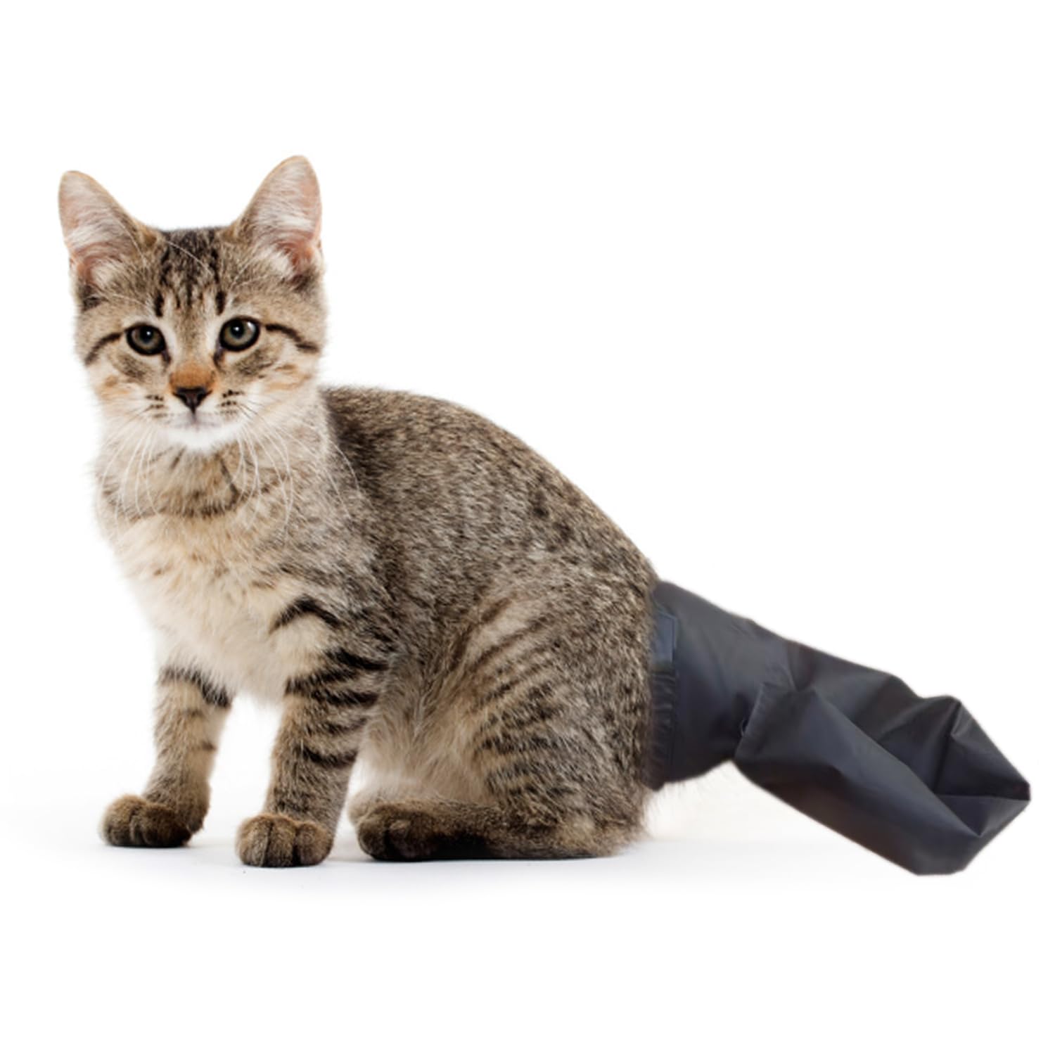 pranovo Cat Tail Protector Cover Cats Tails Wounds Heal Prevent Sleeve for Happy Tail Syndrome
