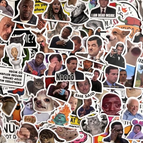 FZYJJJ 300Pcs Funny Meme Vinyl Stickers Waterproof Decals for Laptop