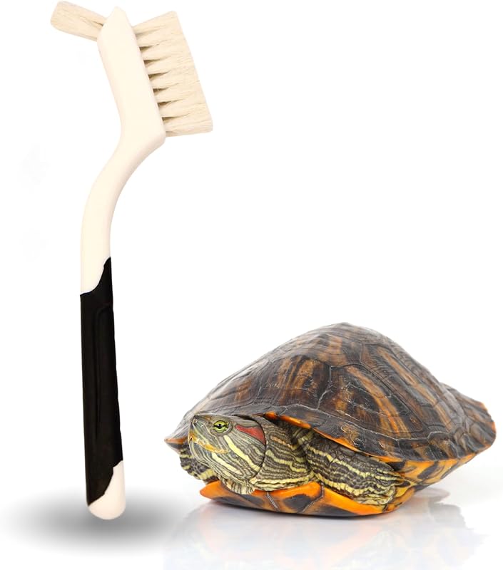Escova para Limpeza de Tartarugas com Cerdas de Pelo de Cabra e Cabo de Borracha Branca Snout and Shell